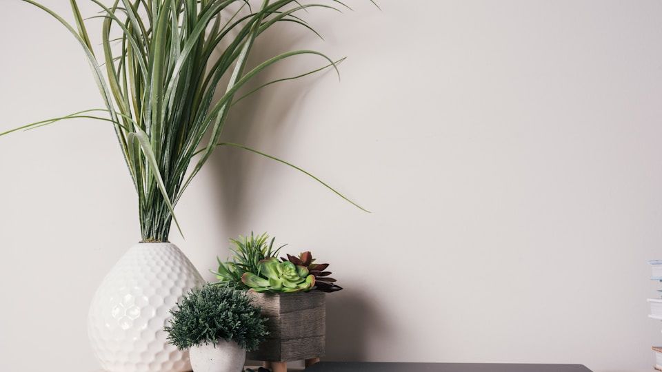 セルフィ1枚でCVR改善、EC副業の売上を2倍にする新ツール